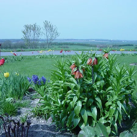 Kardybvej 8 ベッド・アンド・ブレックファスト